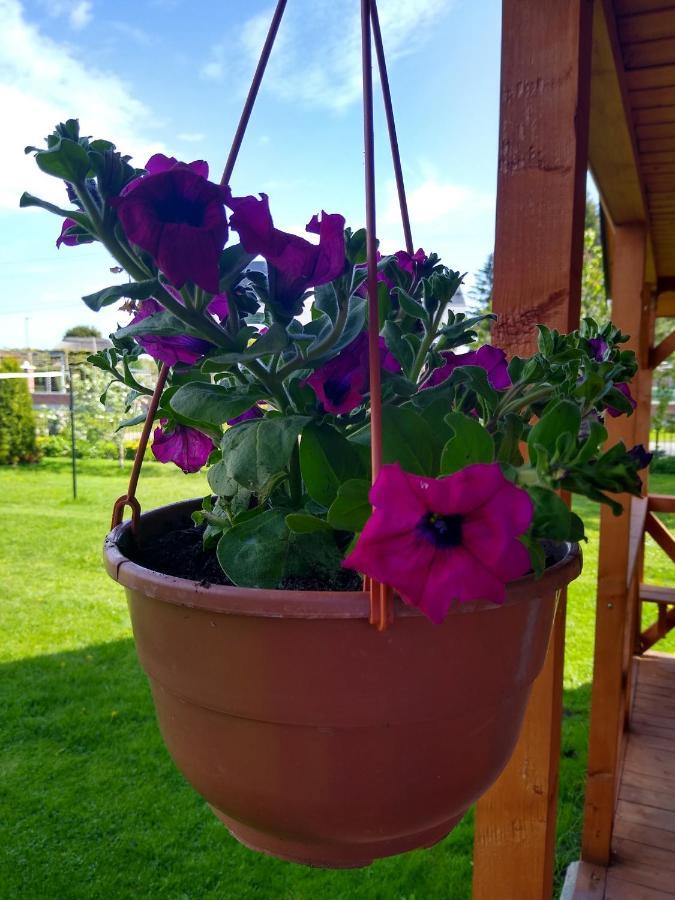 Zloty Ogrod Holiday home Darlowo
